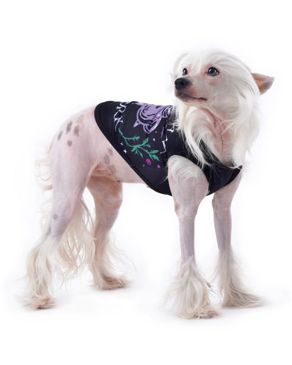 Witch s Assistant at Work Pet Vest - Dog or Cat Supply