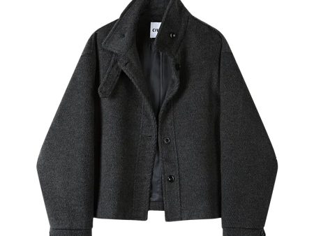 Classic Button-Up Wool Coat Online now