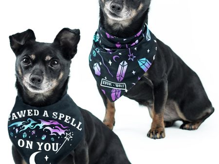 I Pawed a Spell on You Pet Bandana - Dog or Cat Hot on Sale