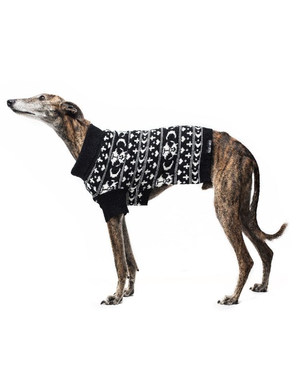 Sworn Enemy Knitted Pet Sweater - Dog or Cat on Sale