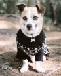 Sworn Enemy Knitted Pet Sweater - Dog or Cat on Sale